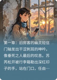 时差恋人：跨越十年的心跳是什么小说苏芮林时全本免费阅读