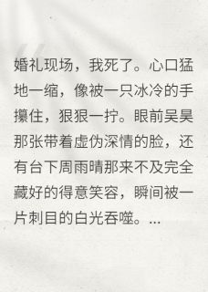 重生归来，我手刃恋爱脑吴昊陆沉周雨晴全章节完结版在线阅读