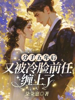 分手五年后，又被冷脸前任缠上了(黎安祁晏)全文完整版阅读-暗夜阅读网