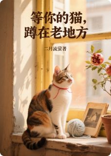 二月流萤的小说等你的猫，蹲在老地方全文阅读