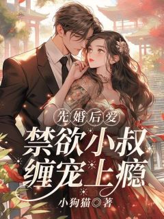 先婚后爱，禁欲小叔缠宠上瘾在哪免费看，许清雾岑西淮小说章节目录阅读