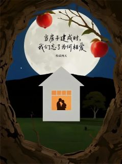 当房子建成时，我们忘了为何相爱小说全集(林舒强子)无弹窗广告阅读-暗夜阅读网