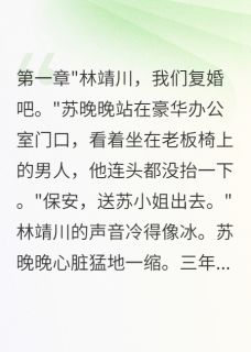 精品小说前夫他真的不爱我了全文目录畅读