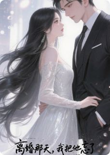 爆款小说离婚那天，我把他忘了主角谢沧溟时瓷全文在线完本阅读