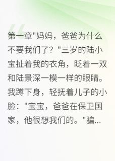军嫂苦等三年，带娃寻夫惊天秘密在线阅读 陆景深陆天明陆明轩免费小说精彩章节
