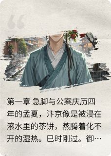 老书虫推荐在宋代送外卖顺便办个案 在线阅读-暗夜阅读网