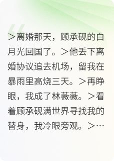 顾承砚林薇薇全文阅读最新 顾承砚林薇薇小说目录