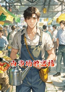 西市场的密语小说最新章节 刘子洋小周结局是什么