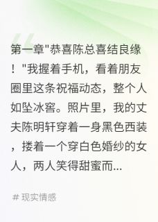 抖音爆款三年假婚姻，我被骗了二百万陈明轩方雨欣无广告阅读