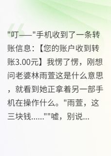 老婆给初恋转三千万，给我转三块林雨萱张浩免费阅读-老婆给初恋转三千万，给我转三块十方来财来财小说
