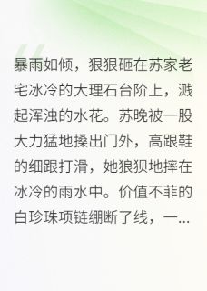 好书推荐替身千金带球跑，霸总后悔了苏晚安安全文在线阅读-暗夜阅读网