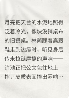 在天台接住月亮许池林简by文正字清免费看