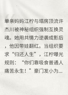 江柠许杰川妞妞灵魂借贷：我和顶流互换人生完结版小说全文免费阅读-暗夜阅读网