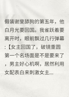 谢斐周芷完整版当舔狗能拿五百万？这活我接了全文最新阅读