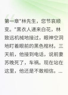 书荒推荐前妻葬礼上的陌生女尸(林致远苏晚)在线试读