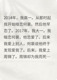 主角何裴周锦小说完整版最新章节-该死的小偷免费阅读全文
