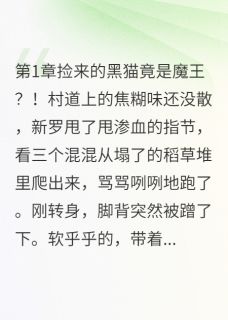 抖音爆款勇者捡到黑猫成为女王拿下魔王完整小说（全文阅读）