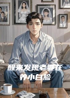 醒来发现老婆在养小白脸(新书)大结局在线阅读-暗夜阅读网