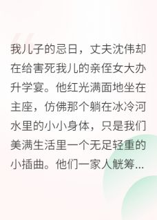 【热文】亡子忌日，我让婆家断子绝孙主角沈伟小杰沈玲玲小说全集免费阅读-暗夜阅读网