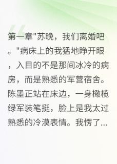 陈墨苏晚白羽小说抖音热文前夫白月光失宠，求我救他仕途完结版