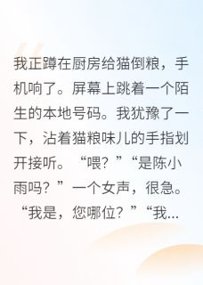 爆款热文南宫澹陈小雨在线阅读-顶流为我隐婚十年全章节列表