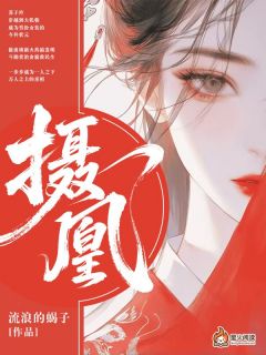 爆款小说由作者流浪的蝎子所创作的摄凰在线阅读