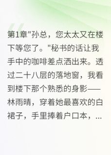 雨晴沈小菲是哪部小说的主角 雨晴沈小菲全文阅读