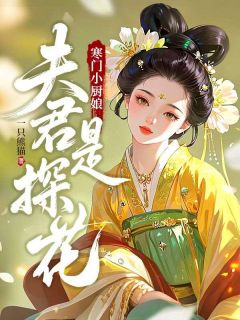 抖音小说【盛安徐瑾年】全集免费版在线阅读-暗夜阅读网