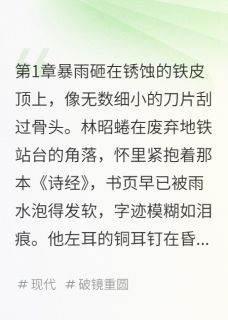 锈蚀微光(林昭苏晚陈砚)全文章节在线阅读
