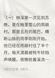 主人公林深苏晚小说雾漫青山时在线全文阅读-暗夜阅读网