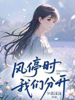 风停时我们分开免费阅读全文，主角席今安江诗语陈言希小说完整版-暗夜阅读网