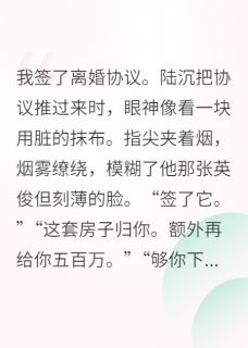 墨墨陆沉砚砚总裁的替身妻失踪，带龙凤胎归来完结版小说全文免费阅读-暗夜阅读网