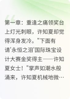 火爆夏峙小说，主角是许知夏沈峙渊在线阅读全文无删减