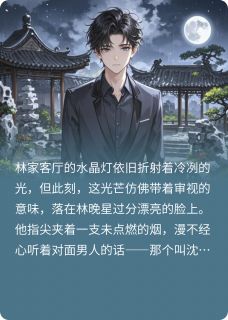 琉璃碎影小说沈妄林晚星免费阅读-暗夜阅读网