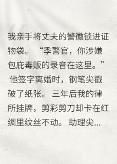 许攸宁季怀铮全本章节在线阅读大结局-暗夜阅读网