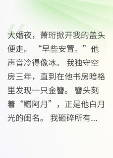 他锁在暗格里的金丝雀（沈清晚萧珩）精彩小说目录阅读