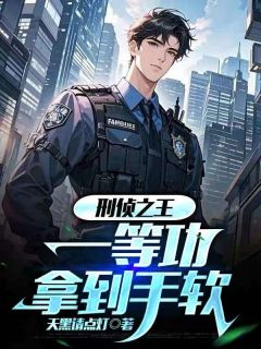 刑侦之王，一等功拿到手软小说全章节目录阅读BY天黑请点灯完结版阅读