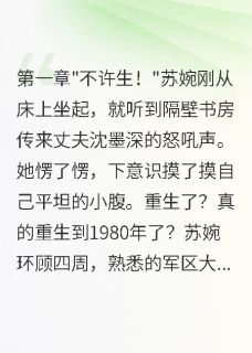 书荒必备八零年代：首长老公拒绝要二胎全文章节阅读