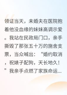 书荒必备领证被鸽,我让渣男跪着叫小婶全文章节阅读-暗夜阅读网
