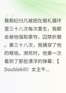 我和纪归凡被困在婚礼里三十八次(纪归凡季冉)小说全章节目录阅读-暗夜阅读网