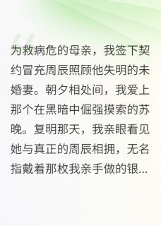 私藏读物复明后她高调逼婚替身周辰苏晚完结版免费阅读-暗夜阅读网