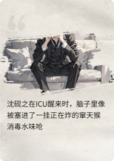 失忆后我把死对头当老公沈砚之陆时衍by猪嘟嘟免费看
