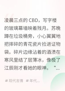 主角苏晚顾时砚江辰小说，月老祠签碎那天，他跪求复合免费阅读全文
