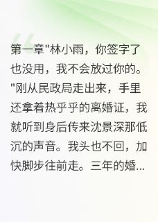 离婚一年，前夫立功归来疯狂追妻免费阅读全文，主角沈景深小雨小说完整版