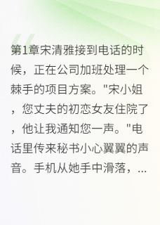 宋清雅叶致远一晌温柔小说全章节最新阅读