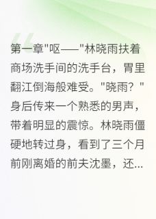 离婚后怀孕前夫跪求复合被拒by字字珠玑梦如烟(林晓雨沈墨江心怡)未删节免费阅读