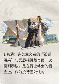 毒舌与金句的狭路相逢小说最后结局，黎黎楚肖章岳百度贴吧小说全文免费-暗夜阅读网