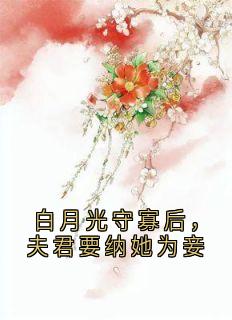 白月光守寡后，夫君要纳她为妾完整版免费阅读，留青赵恒小说大结局在哪看
