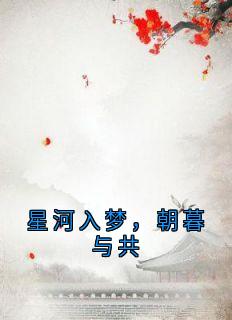 熬夜也要看完的星河入梦，朝暮与共小说推荐