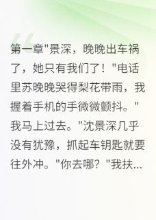 沈景深陈墨轩心雨全集小说_雨夜你陪白月光,我离婚后你哭啥完结版阅读